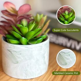 Artificial Plants Cute Colourful Succulents in Ceramic Planter Fake Plant Flowers Potted for Home Living Room Office Desk Decor Bathroom Bedroom Indo