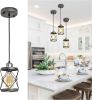 Industrial Pendant Lighting for Kitchen Island, Rustic Mini Cage Pendant Light, Farmhouse Pendant Lamp with Silver Grey[Unable ship weekends, TK/TEMU