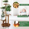 5 Tiered Tall Plant Stand for Indoor, Wood Plant Shelf Corner Display Rack, Multi-tier Planter Pot Holder Flower Stand for Living Room Balcony Garden