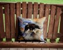 Eagle Throw Pillow Machine Washable, Indoor Outdoor Decorative Pillow for Couch, Bed or Patio, 14Hx14W