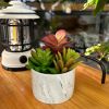 Artificial Plants Cute Colourful Succulents in Ceramic Planter Fake Plant Flowers Potted for Home Living Room Office Desk Decor Bathroom Bedroom Indo