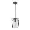 1-Light Black Pendant Light, 1 Pack, Farmhouse Iron Cage Metal Pendant Lighting with Clear Glass Shade, Adjustable Height Hanging Ceiling Lighting fo
