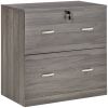 2 Drawer File Cabinet with Lock, Office Filing Cabinet, Hanging Bar for Letter Size, Home Office, Grey